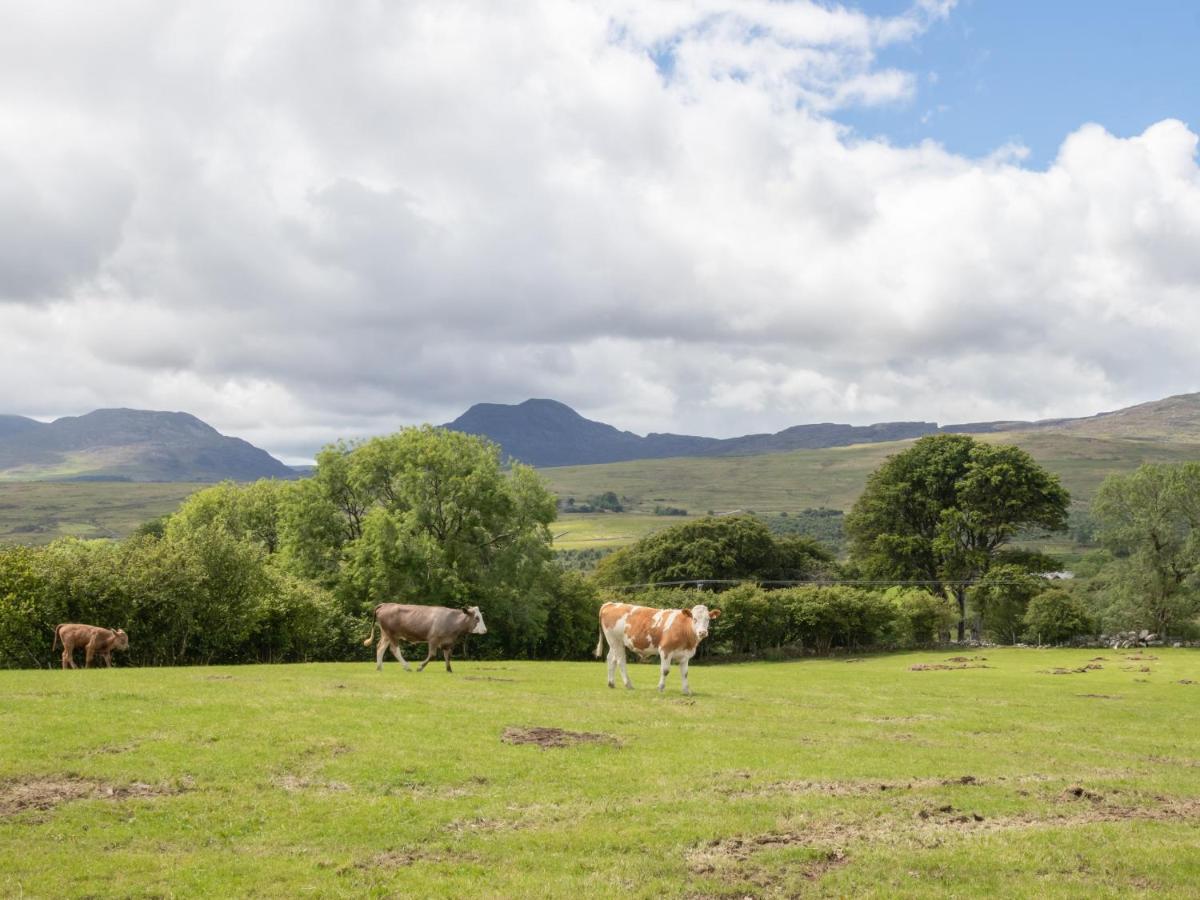 Hendre Cottage Trawsfynydd Екстериор снимка